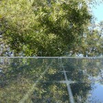 pannelli_solari_alberi500