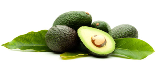 avocado520