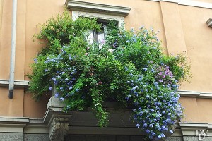 balcone_fiori_milano600