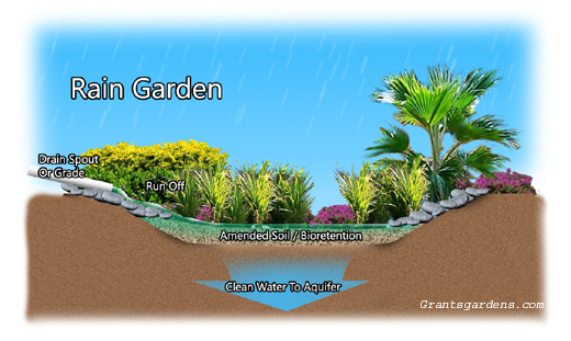 rain_garden_struttura520