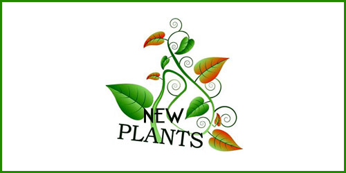 nuove_piante