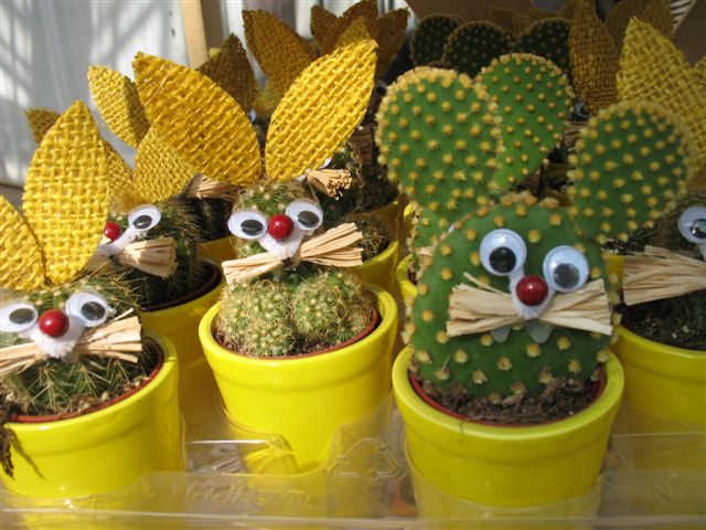 cactus_topi.jpg