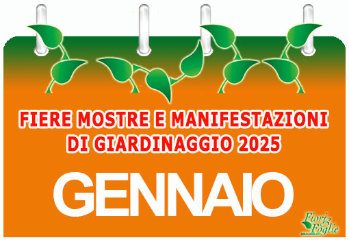 Calendario gennaio 2025